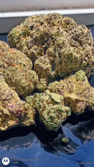 Slurrup's picture by FLIP420