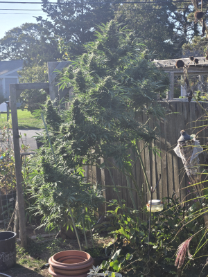 Image #17112508552736993