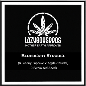 Image #18122553660560554