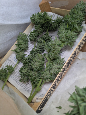 Image #12112542961631701