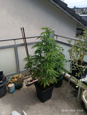 Image #12112549064884963