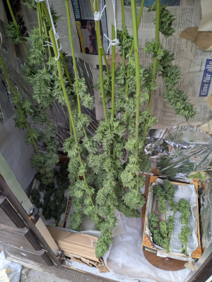 Image #12112565386873590