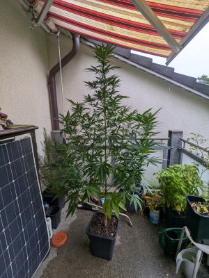 Image #12112577570863854