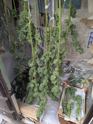 Image #12112590080274696