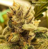 An image of Banana Chem Cruffins