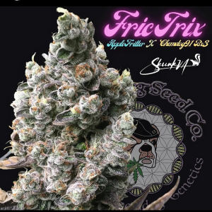 Image #12012646483295589