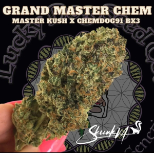 Grand Master Chem's picture by JFK73