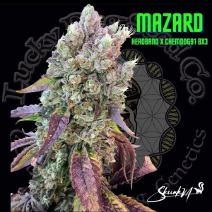 Image #12012607740069318