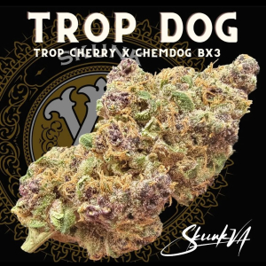 Trop Dog's picture by JFK73