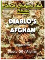 An image of Diablo's Afghan