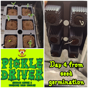 Image #21112596853227068