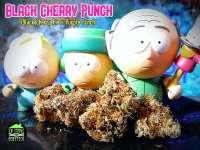 An image of Black Cherry Punch