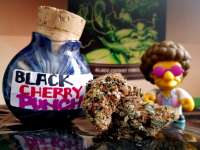 An image of Black Cherry Punch