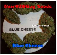 An image of Blue Cheese