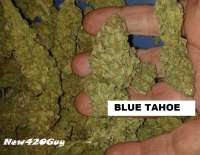 An image of Blue Tahoe