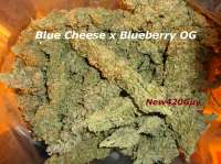 An image of Blue Tahoe Cheese