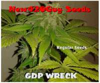 An image of GDP Wreck