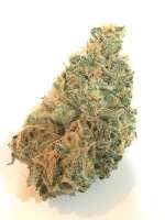 An image of Island Sweet Skunk