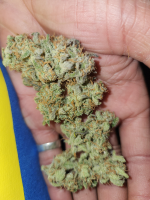 An image of Blueberry Glue