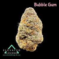 An image of Bubble Gum