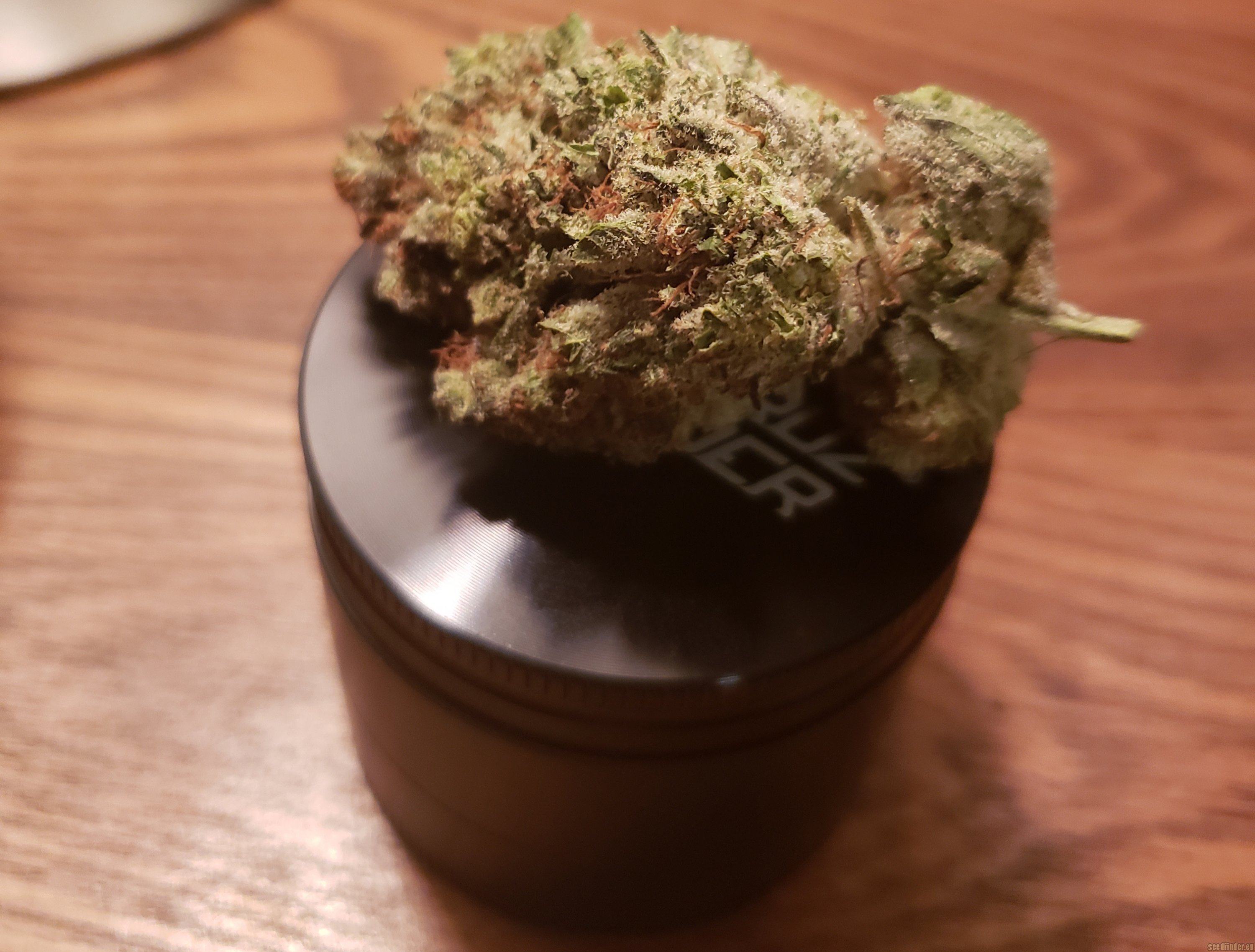 Gorilla Glue #4 x Key Lime Pie