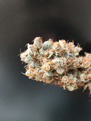 An image of Lemon Ice 2.0