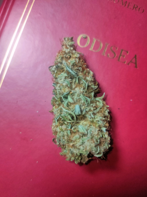 Image #28122578418503980