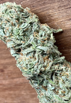 Punch Pie's picture by DirtyFive30