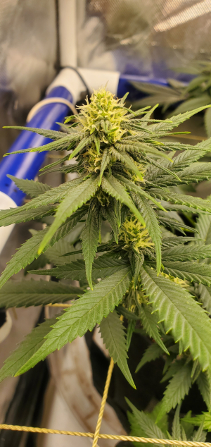 Image #07012662043323443