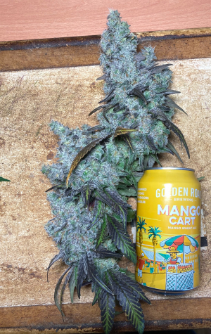 Kush Mints's picture by Mr_Lemon