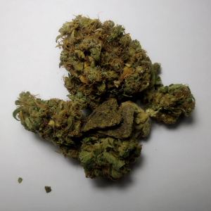 An image of Auto Amnesia