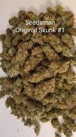 An image of Original Skunk #1