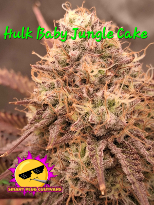 Image #26012647120146110