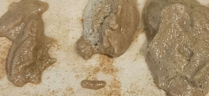 Image #18092571005775727