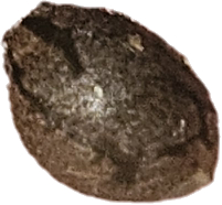 Image #18092598266912371