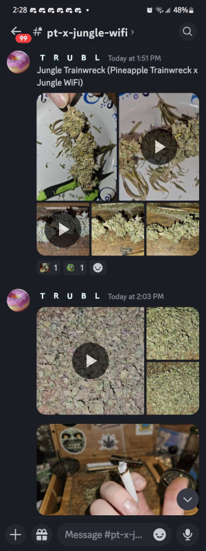 An image of Jungle Trainwreck