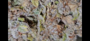 Image #18082538107003162