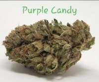 An image of Purple Candy