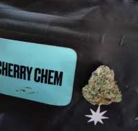 An image of Cherry Chem