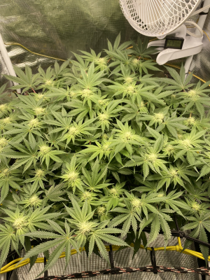 Image #05112574518170609