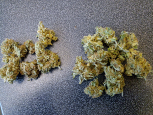 S.A.D. Sweet Afgani Delicious S1's picture by Head_grower