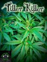 An image of Tiller Killer