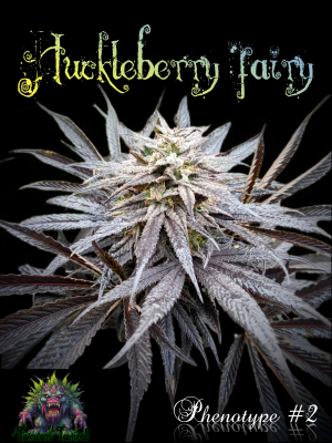 Huckleberry Fairy 's picture by KeganLee