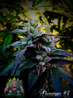 Southern Oracle's picture by KeganLee