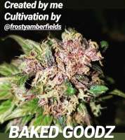 An image of BakedGoodz