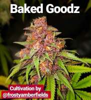 An image of BakedGoodz