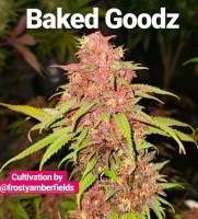 An image of BakedGoodz