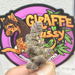 Image #29102590359751038