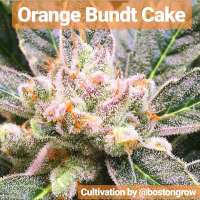 An image of Orange Bundt Cake