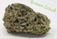 An image of Green Crack